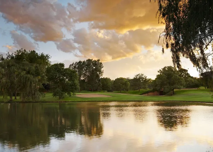 Top-Notch Hilton Hotels in Denver