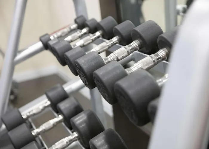 Top Tree House Hotels in Oregon for Nature Lovers