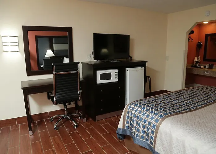 Top Pet-Friendly Stays in Washington D.C.