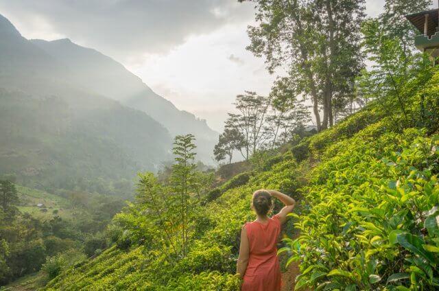 Sri Lanka Rundreise Urlaub Nuwara Eliya Teeplantagen