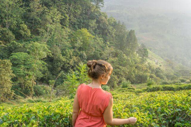 Sri Lanka Rundreise Urlaub Nuwara Eliya Teeplantagen
