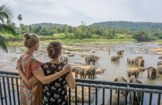 Sri Lanka Rundreise Urlaub Pinnawala