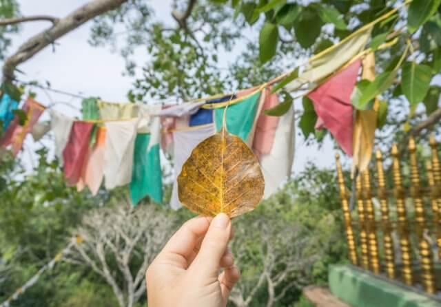 Sri Lanka Rundreise Urlaub Tempel Maho