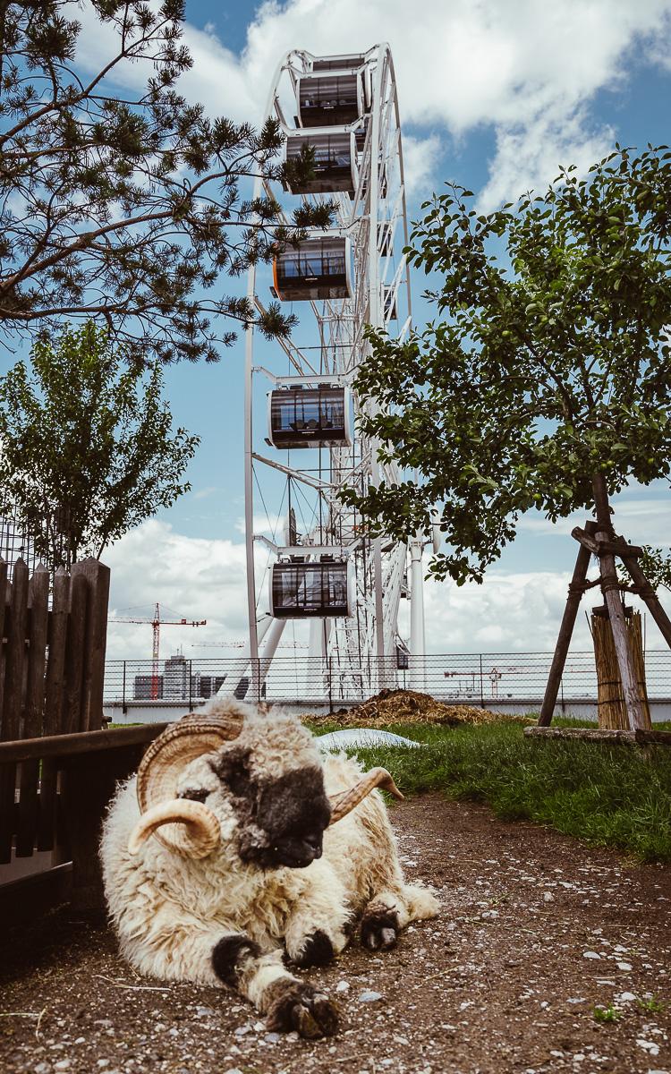 Stadtalm München Werksviertel Mitte