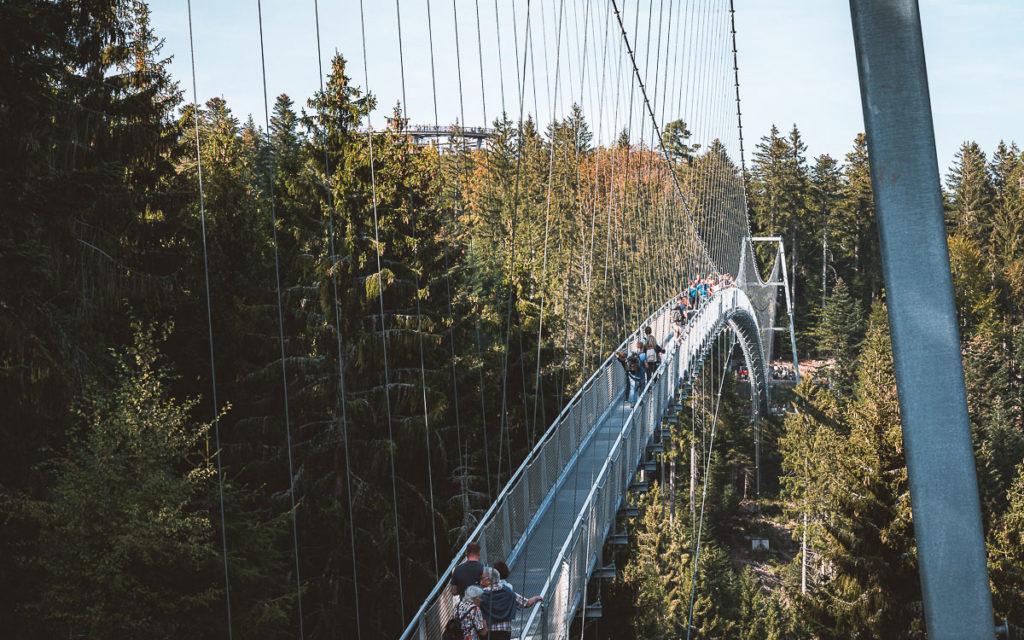Wildline Hängebrücke Bad Wildbad Schwarzwald